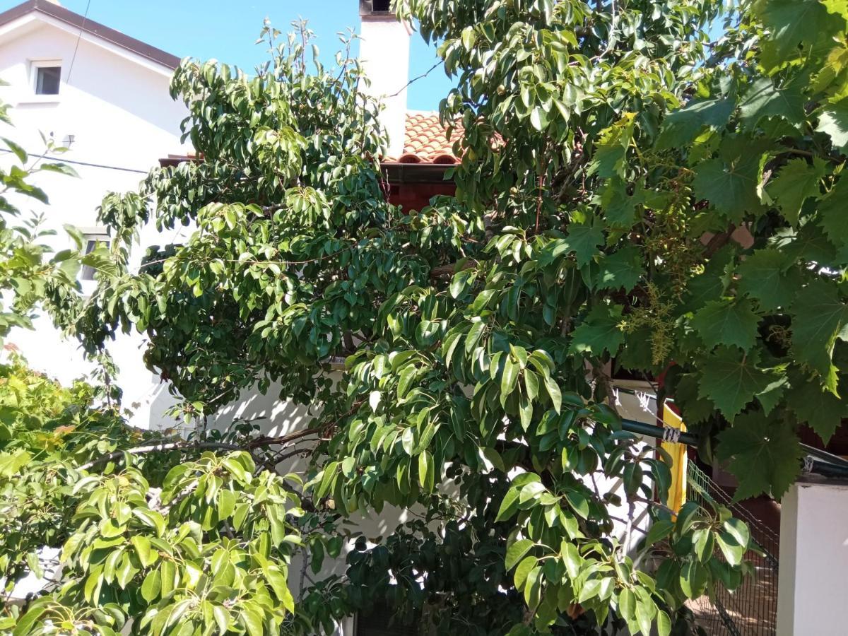 Apartments Antares Mali Losinj Exterior photo
