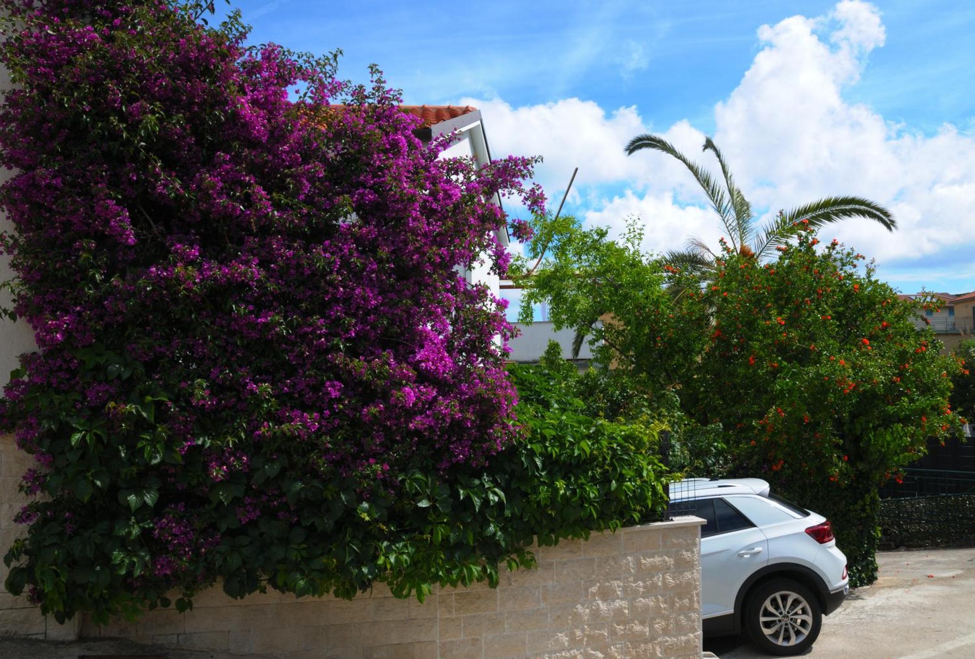 Apartments Antares Mali Losinj Exterior photo